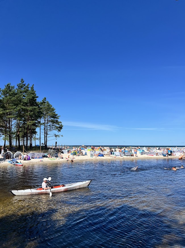 Kajakarz płynący rzeką Piaśnica w Dębkach w stronę morza, widoczny brzeg z lasem sosnowym i plaża z turystami