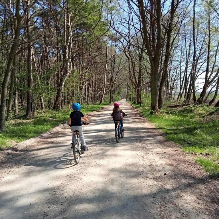 Rodzina na rowerach w lesie w Dębkach – trasy rowerowe i udogodnienia w Villa NOVA