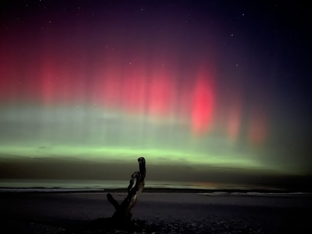 Szeroki poziomy kadr zielonej i czerwonej zorzy polarnej nad Bałtykiem w Dębkach poza sezonem, z ciemną sylwetką starego konaru drzewa na piaszczystej plaży
