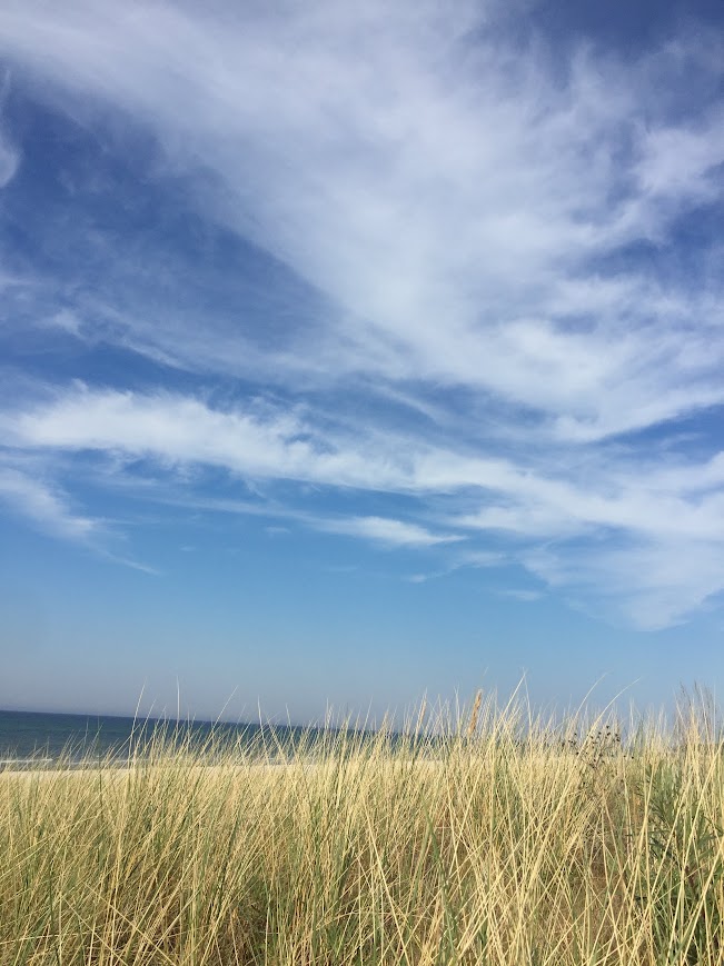 Nadmorski krajobraz z szeroką, piaszczystą plażą i trawą morską na pierwszym planie w Dębkach