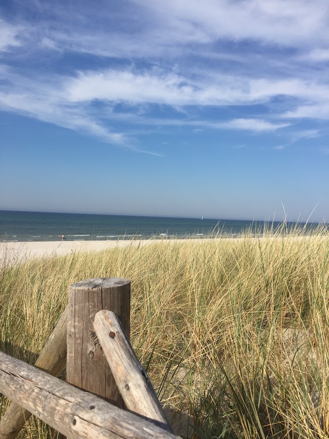 Piaszczyste wydmy, sucha trawa i drewniany płotek na plaży w Dębkach z widokiem na Bałtyk