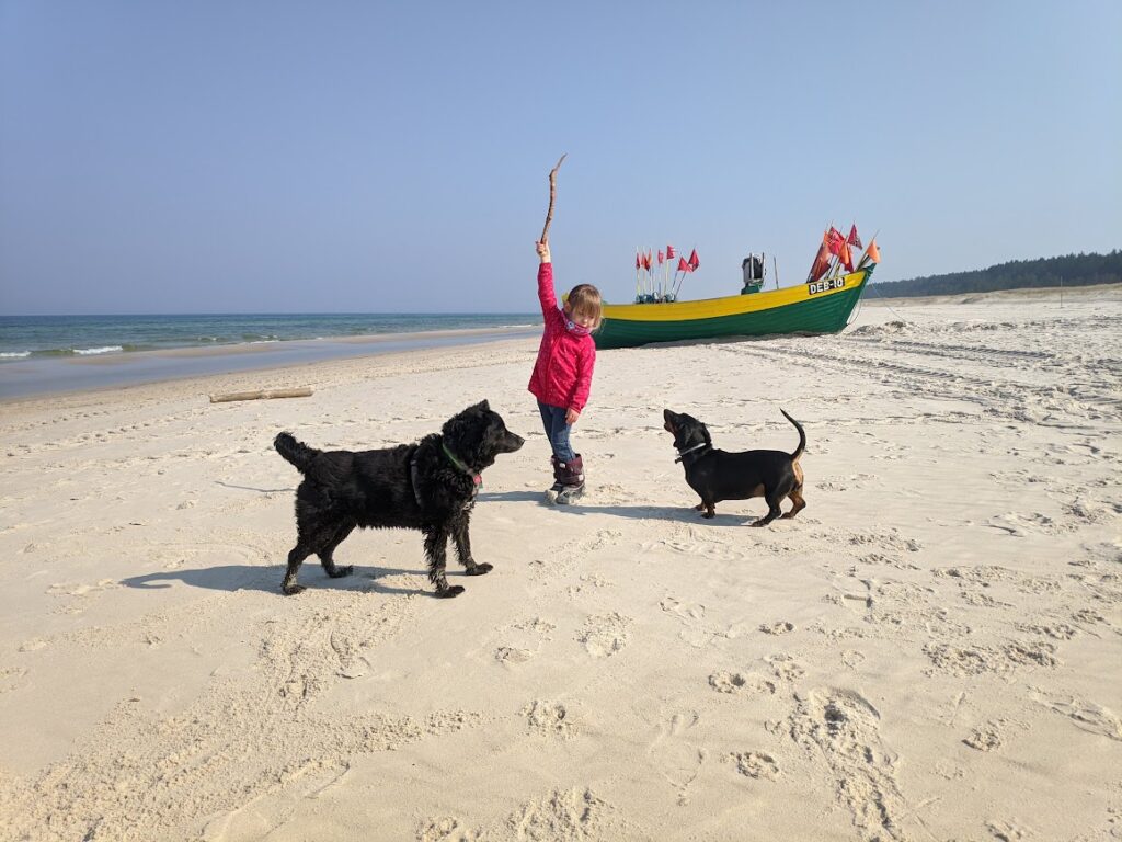 Zabawa z psami na plaży przy łodzi DĘB-10 w Dębkach – wyjazd z psem Villa NOVA Pet Friendly