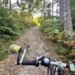Widok z perspektywy kierownicy roweru na leśną, piaszczystą ścieżkę prowadzącą do Diabelskiego Kamienia