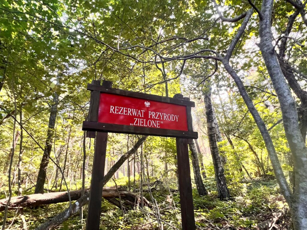 Tablica informacyjna Rezerwatu Przyrody Zielone w leśnej scenerii koło Dębek Tytuł (Title):